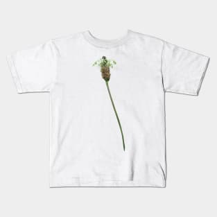 Ribwort Plantain Flower Kids T-Shirt